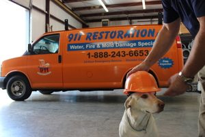 911 Restoration Pup Ready to Help Clean up Water Damage