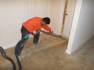 A Technician Cleaning Carpet Water Damage