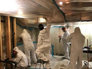mold removal crew working onsite
